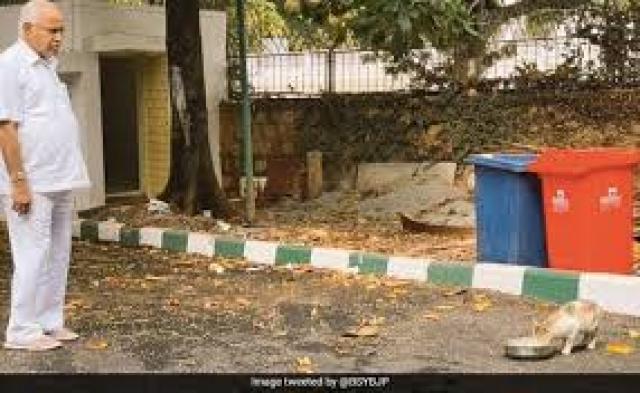  ಬೆಕ್ಕಿನ ಮರಿಗೆ ಆಹಾರ ನೀಡಿದ ಯಡಿಯೂರಪ್ಪ: ಪ್ರಾಣಿ, ಪಕ್ಷಿಗಳಿಗೆ ಉಣಿಸಲು ಮುಖ್ಯಮಂತ್ರಿ ಮನವಿ
